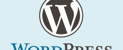 wordpress icone